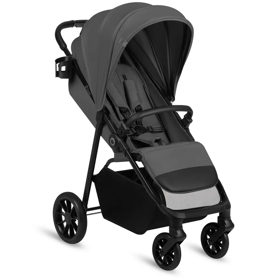lionelo-elia-buggy-bis-22-kg-liegeposition-grau image 1